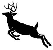 deer leaping-342